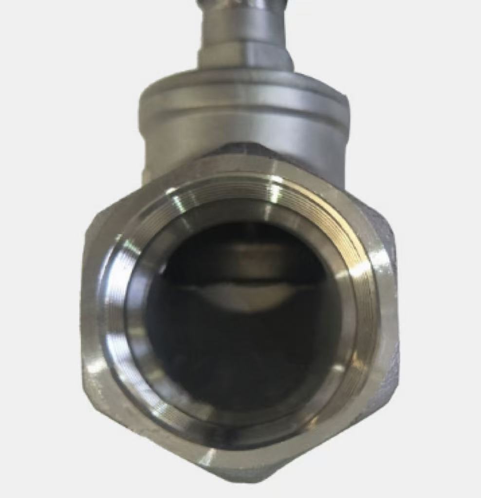 316 globe valves