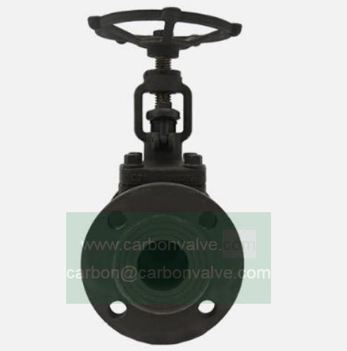A105 Forged Globe Valves
