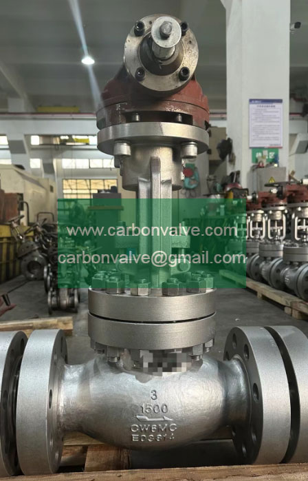 A494 WC6MC Globe Valves A494 WC6MC Globe Valves